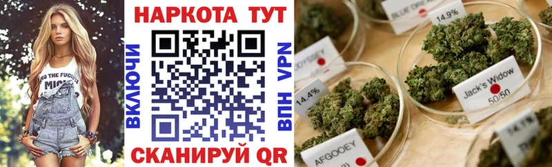 Наркошоп купить Галлюциногенные грибы  Мефедрон  ГАШИШ  Амфетамин  КОКАИН  СК  Сланцы