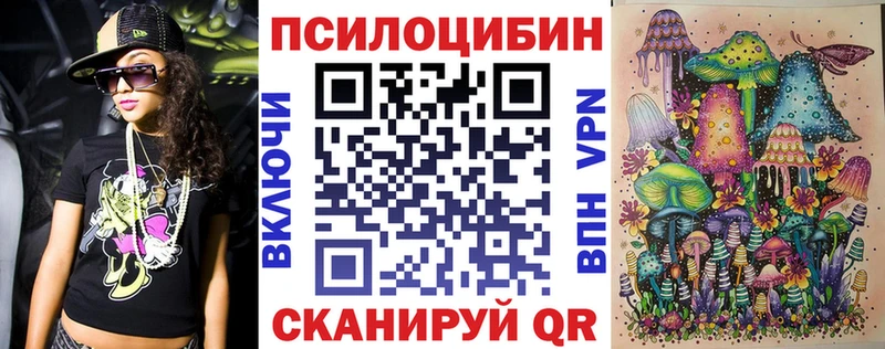 Галлюциногенные грибы Cubensis Купить где Сланцы